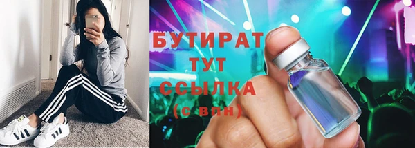 мдпв Ельня