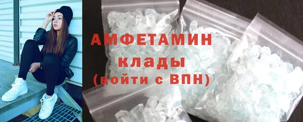 мдпв Ельня