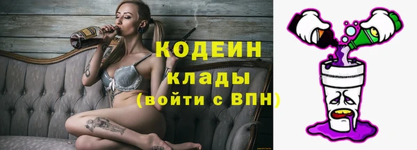 метадон Елизово