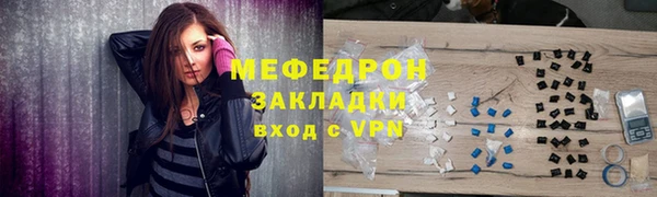 мдпв Ельня