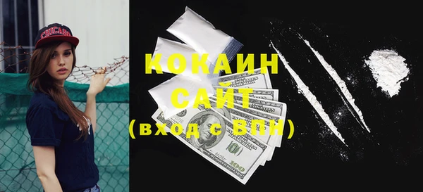 метадон Елизово