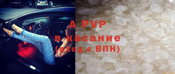 мдпв Ельня