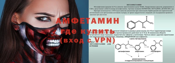 мдпв Ельня