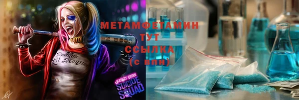 мдпв Ельня