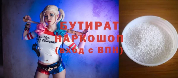 мдпв Ельня