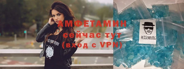 мдпв Ельня