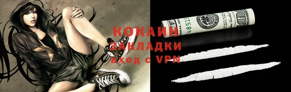 мдпв Ельня