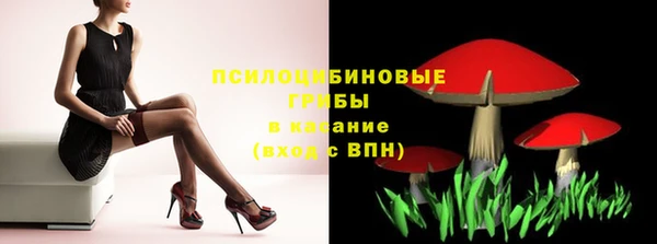 метадон Елизово