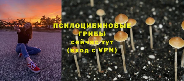 трава Елабуга