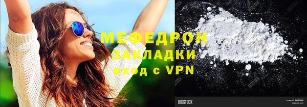 мдпв Ельня