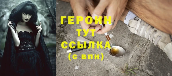 мдпв Ельня