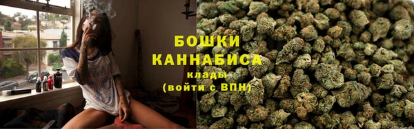 метадон Елизово
