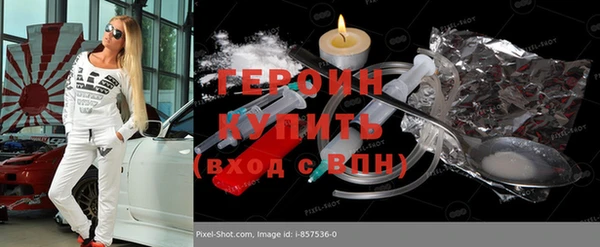 мдпв Ельня
