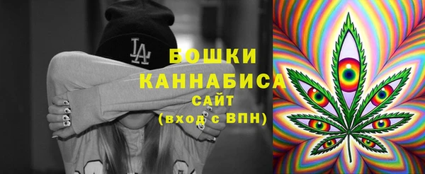 мдпв Ельня