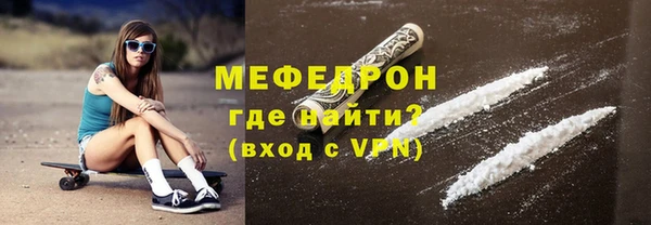 мдпв Ельня