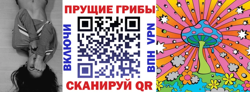 купить  сайты  Мончегорск  Псилоцибиновые грибы мухоморы 